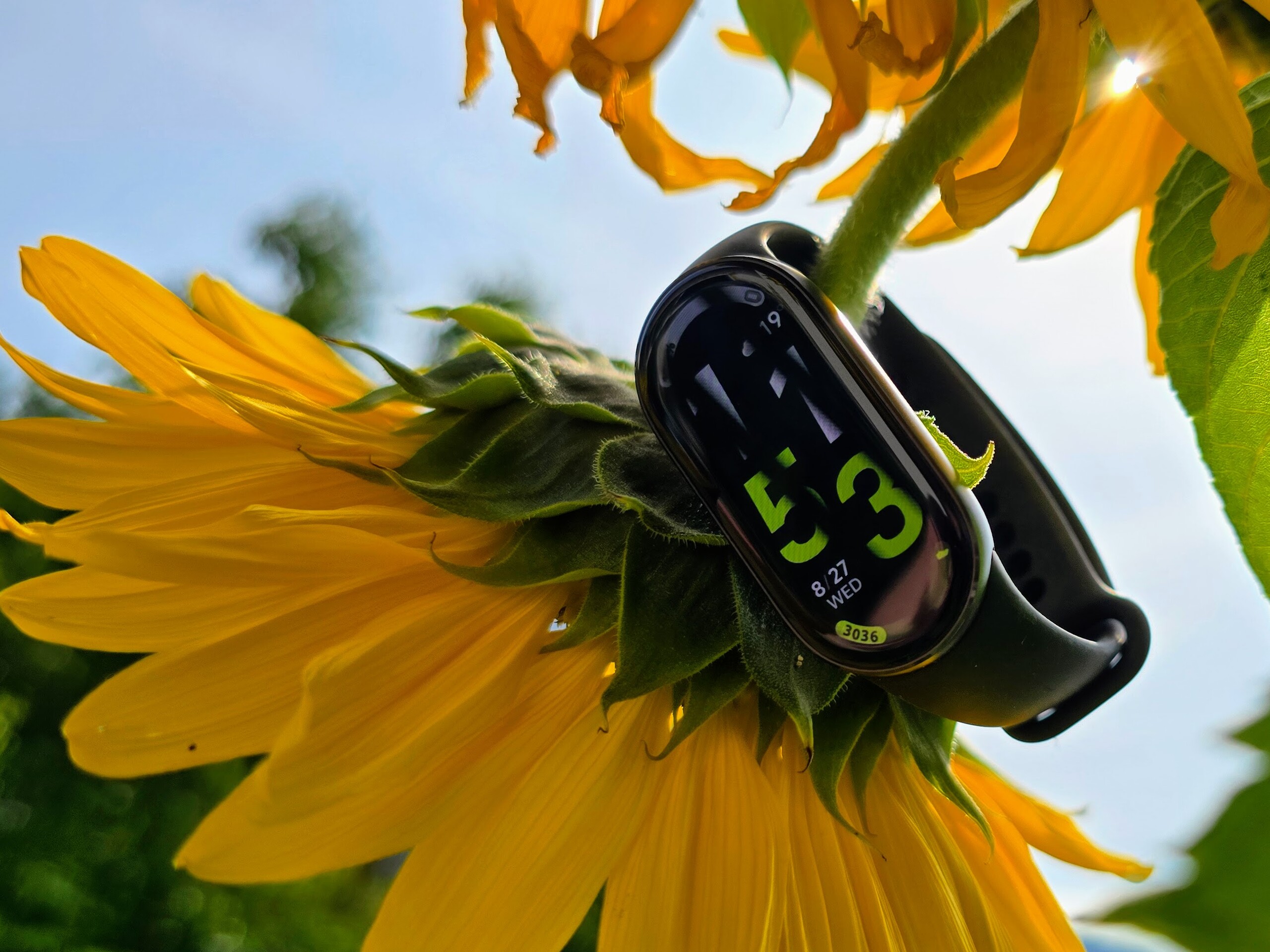 Nel test: Xiaomi Smart Band 10