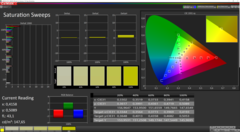 CalMAN Saturation Sweeps (calibrato)