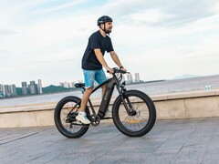 La e-bike con ruote grasse DYU King 750 ha una velocità massima di 45 km/h (~28 mph). (Fonte: DYU)