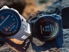 La versione 17.21 di Garmin Public Beta è ora disponibile per diversi modelli Forerunner, compreso il 955 (sopra). (Fonte: Garmin)