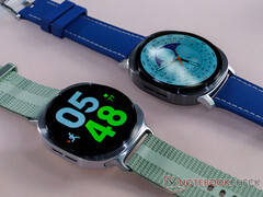 Il Samsung Galaxy Watch 8 può misurare i livelli di antiossidanti. Nella foto: le due dimensioni dello smartwatch. (Fonte: Notebookcheck)