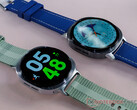 Il Samsung Galaxy Watch 8 può misurare i livelli di antiossidanti. Nella foto: le due dimensioni dello smartwatch. (Fonte: Notebookcheck)