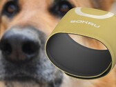 Il sensore indossabile Sokru, ispirato al naso del cane, rileva i composti organici volatili. (Fonte: Lakka/Unsplash - modificato)