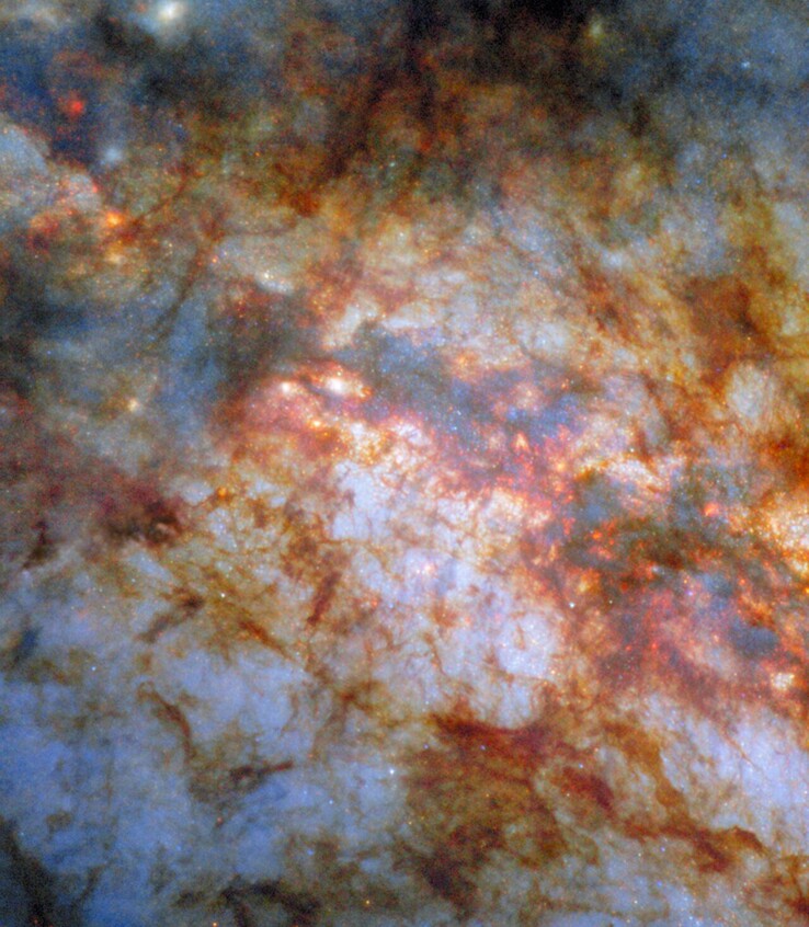 Un'immagine di Messier 82 catturata da Hubble (Fonte: ESA/Hubble, NASA, e W. D. Vacca)