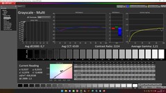 CalMAN: scale di grigi (calibrate)