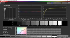 Scala di grigi calibrata CalMAN (spazio colore target P3)