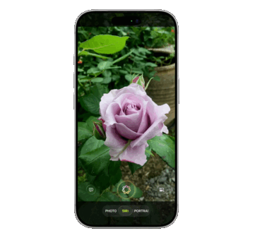 Siri sarà integrato per la prima volta nell'app Fotocamera, integrando l'intelligenza visiva per l'identificazione degli oggetti tramite servizi AI esterni come Google e ChatGPT, secondo quanto trapelato.