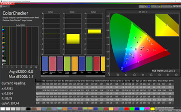 CalMAN: Precisione del colore – spazio colore target DCI P3, impostazione colore personalizzata