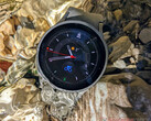 Samsung Display fornisce i display per Apple e per gli smartwatch Samsung. (Fonte: NotebookCheck)