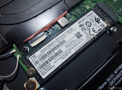 Il TravelMate P6 offre solo un singolo slot M.2 2280 per SSD NVMe
