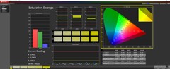 Saturazione calibrata