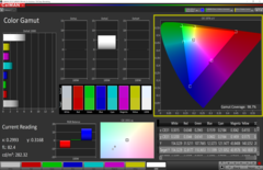 Gamma sRGB al 99% nel test CalMAN