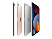 Questi rendering concettuali visualizzano l'iPad mini ridisegnato con un display da 8,3 pollici e cornici più strette (Immagine: Ian Zelbo)