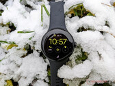 Il Pixel Watch rimarrà sulle build di Wear OS 3 per altri due mesi. (Fonte: Notebookcheck)