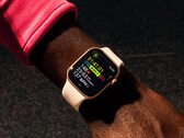 È improbabile che la durata della batteria di Apple Watch Series 11 sia molto più lunga di quella della Series 10. (Fonte immagine: Apple)