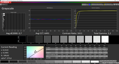 CalMAN Grayscale calibrato (spazio colore target AdobeRGB)