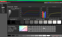Scala di grigi prima della calibrazione