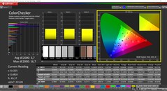 CalMAN ColorChecker calibrato