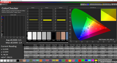 CalMAN ColorChecker calibrato (spazio colore target sRGB)