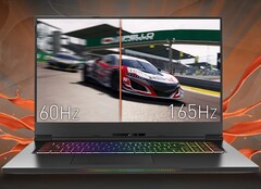1440p potrebbe diventare la nuova risoluzione standard per i portatili gaming nei prossimi anni. (Fonte: Eluktronics)
