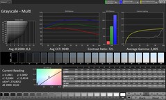 Scala di grigi CalMAN