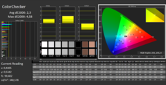 CalMAN - Color Checker (calibrato)