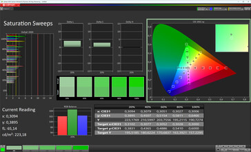 Saturazione del colore (modalità di visualizzazione Vivid, temperatura del colore Warm +1, spazio colore target sRGB)