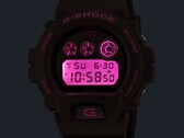 Orologio G-Shock x Hardies NYC DW-6900HH-5 di Casio