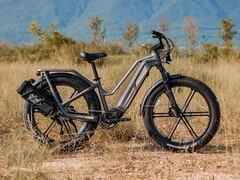 La e-bike Fiido Titan è ora disponibile per il pre-ordine in tutto il mondo. (Fonte: Fiido)