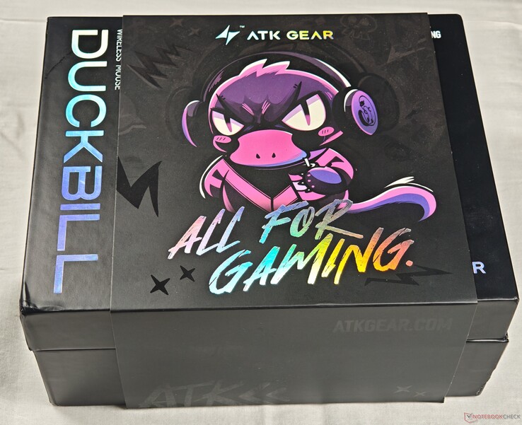 Confezione esterna con custodia