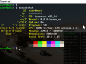 Terminale all'interno di Banan-OS (Fonte immagine Bananymous su Github)