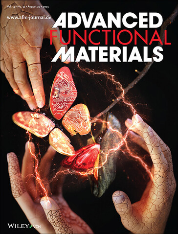 L'invenzione di SK On per combattere la dendrite da litio è finita sulla copertina della rivista Advanced Functional Materials