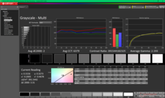 Scala di grigi prima della calibrazione (sRGB)