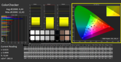 CalMAN - Color Checker (calibrato)