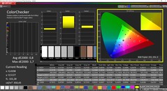 CalMAN ColorChecker calibrato