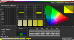 Saturation Sweeps pre-calibrazione (gamma di colore AdobeRGB)