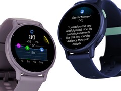 Riepilogo giornaliero, Avvisi di riposo e Avvisi di stress sono già disponibili per il Vivoactive 5 (sopra). (Fonte: Garmin).