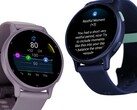 Riepilogo giornaliero, Avvisi di riposo e Avvisi di stress sono già disponibili per il Vivoactive 5 (sopra). (Fonte: Garmin).