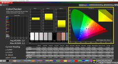 CalMAN ColorChecker (profilo: Nativo, spazio colore di destinazione: P3)