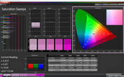 CalMAN: Saturazione - Foto (Spazio colore target AdobeRGB)