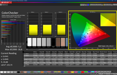 CalMAN - Color Checker (calibrato)