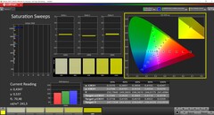 CalMAN Saturazione calibrata (spazio colore target: P3)