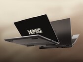 La serie XMG EVO M24 dispone di due slot SO-DIMM per l'aggiornamento della RAM. (Fonte: XMG)