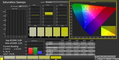 CalMAN: saturazione del colore (calibrata)