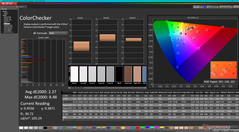 ColorChecker (impostazione DCI-P3)