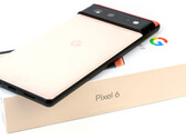 Google Pixel 6 e Pixel 6 Pro utilizzano il SoC Tensor dell'azienda. (Fonte: Notebookcheck)