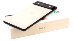 Google Pixel 6 e Pixel 6 Pro utilizzano il SoC Tensor dell'azienda. (Fonte: Notebookcheck)