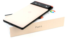Google Pixel 6 e Pixel 6 Pro utilizzano il SoC Tensor dell&#039;azienda. (Fonte: Notebookcheck)