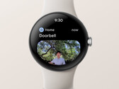 L'app Google Home può ora mostrare notifiche con immagini di campanelli video Nest su alcuni smartwatch Wear OS 3. (Fonte: Google)