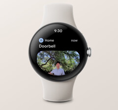 L'app Google Home può ora mostrare notifiche con immagini di campanelli video Nest su alcuni smartwatch Wear OS 3. (Fonte: Google)